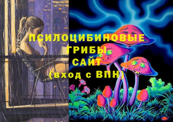 ешки Армянск